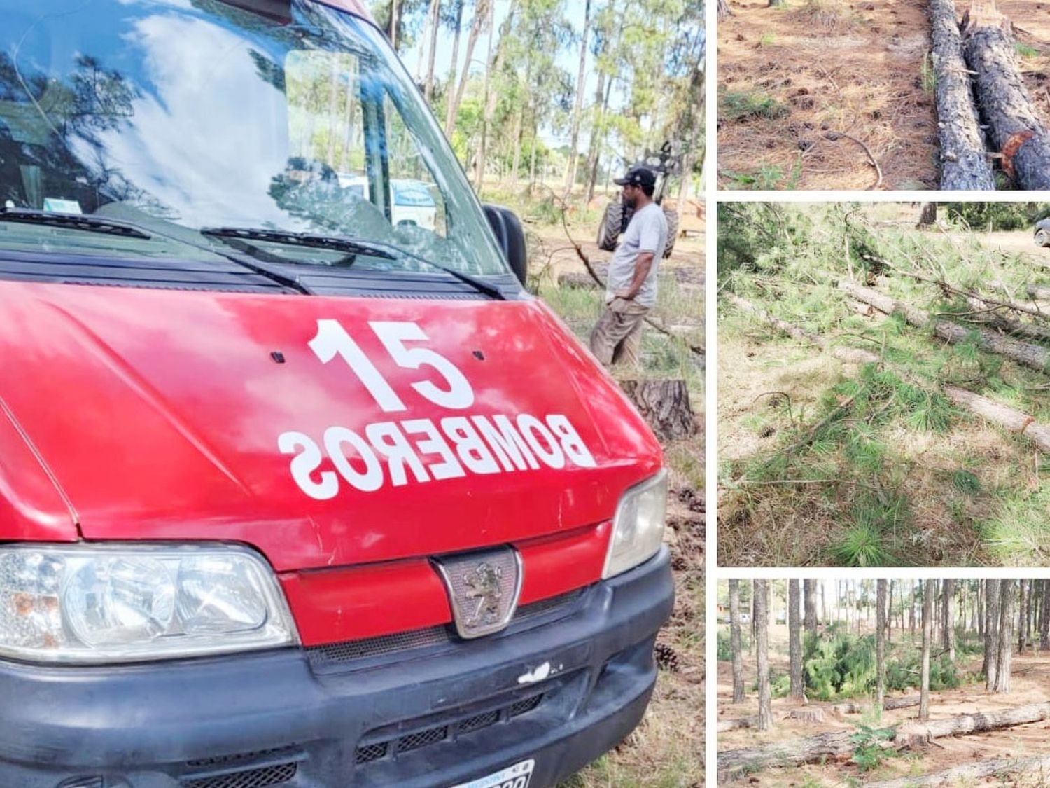 Un trabajador murió tras ser golpeado por un árbol en el Autódromo de Concordia