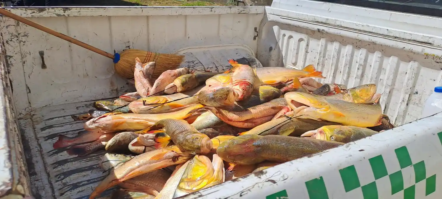 pescado decomisado lo de bruno