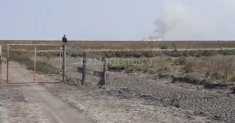 Carsfe pide los productores que tramiten la Emergencia Agropecuaria