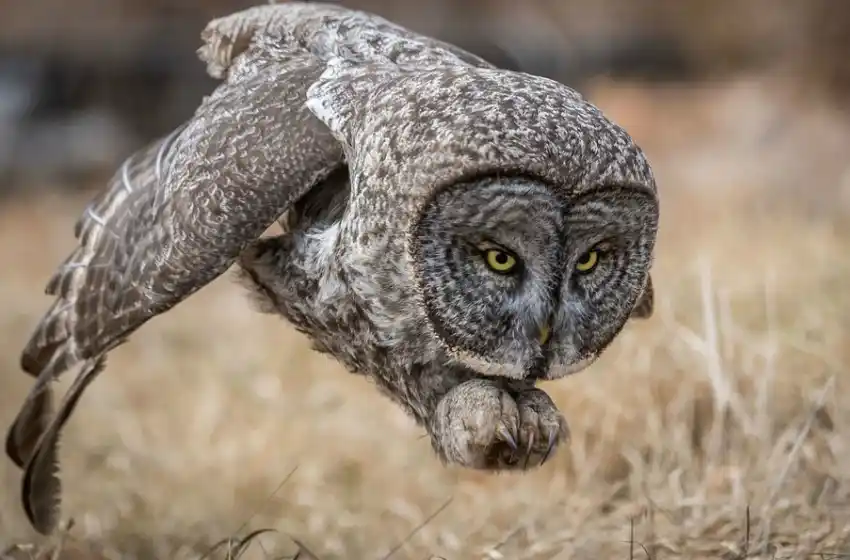 Las mejores fotos del 2017