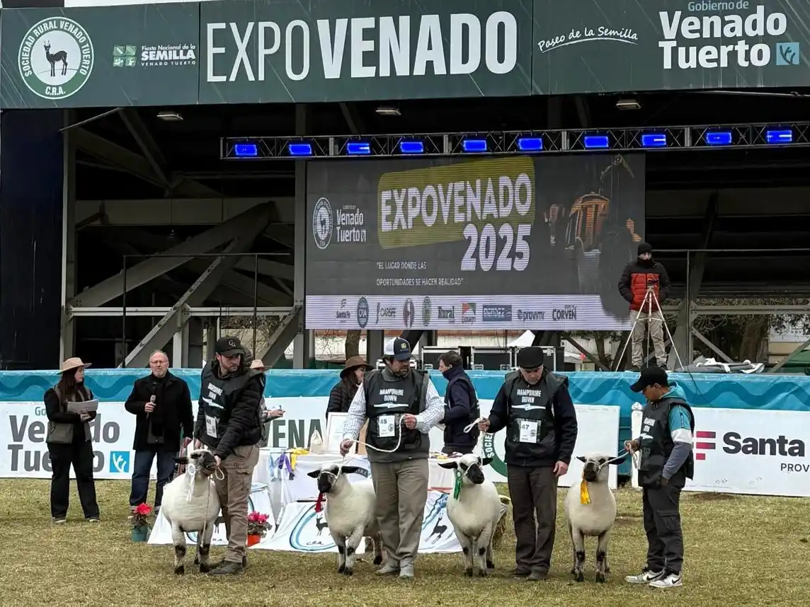 Hampshire pista ExpoVenado