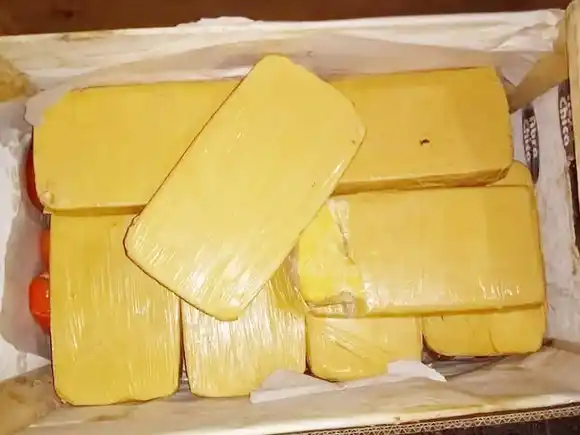 Reemplazaron la cocaína que iba a ser quemada por un ácido que vale $10 mil el kilo