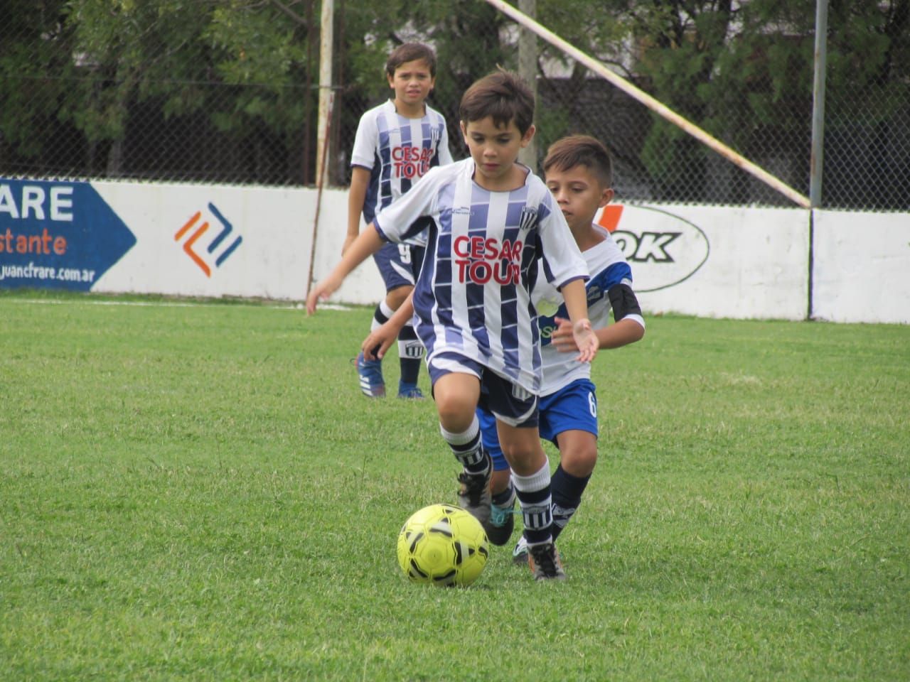 Inferiores
