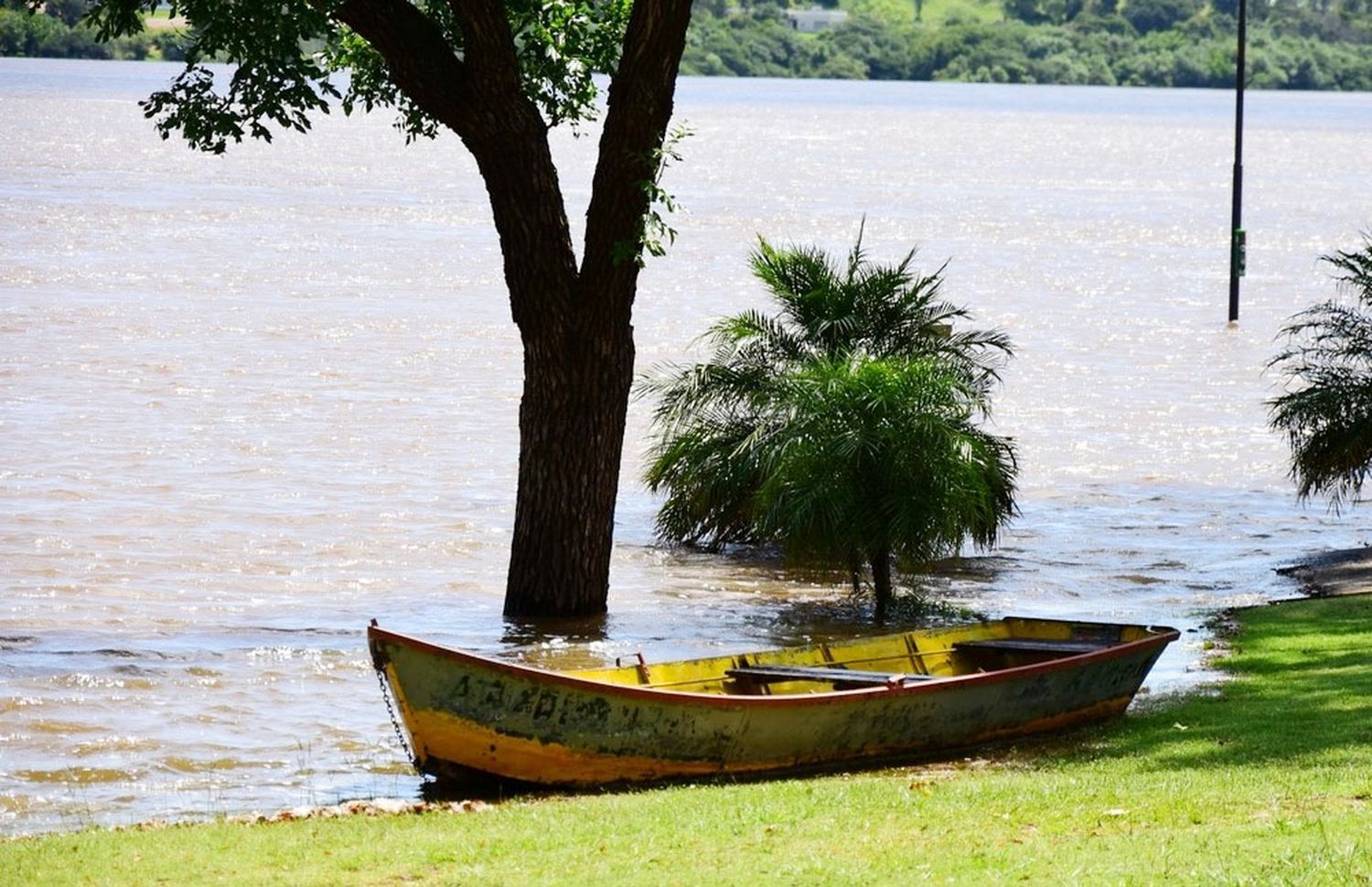 El COE recorre las zonas inundables y sigue atentamente la evolución de los niveles del río