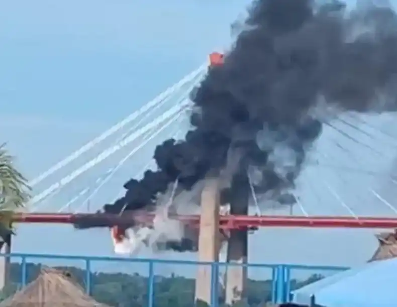 Un camión se prendió fuego en el puente Mitre del Complejo Zárate-Brazo Largo