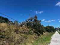 Un árbol cayó sobre el tendido eléctrico y dejó sin luz a 2 mil usuarios
