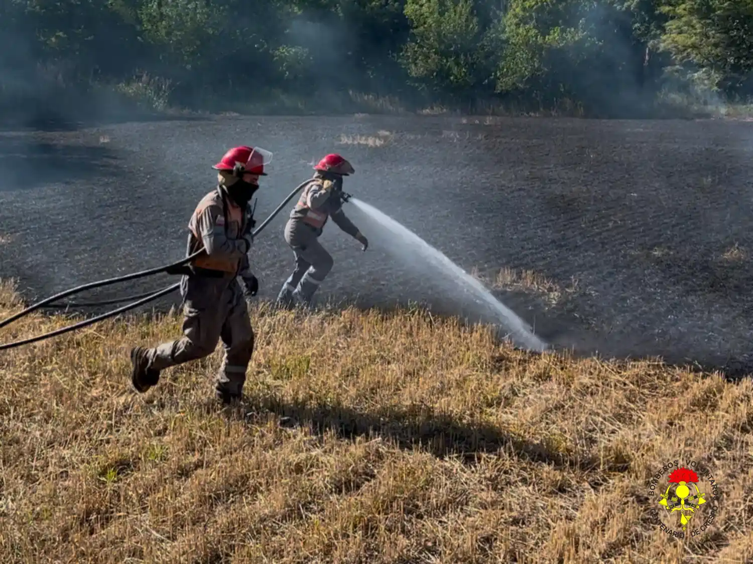 Incendio en campo de rastrojos de trigo moviliza a bomberos en la ex Ruta 131