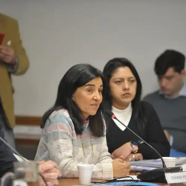 En Diputados comenzó el debate sobre el proyecto de alcohol cero al volante: "Lo necesitamos urgente" dijo Viviam Perrone