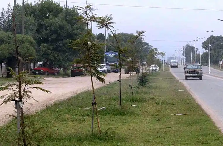 Destacan el plan de forestación de Balcarce