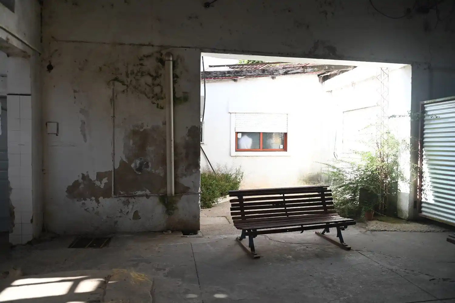 davico municipio - 1