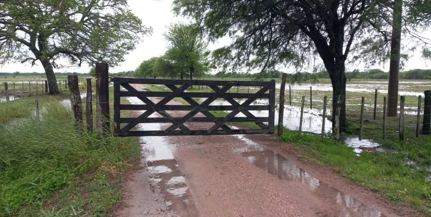 Las lluvias cubrieron toda la zona, con registros que podrían iniciar la recuperación de una sequía interminable.