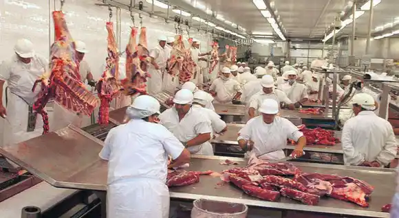 Hay frigoríficos entrerrianos exportadores con cupos de carne para Colombia