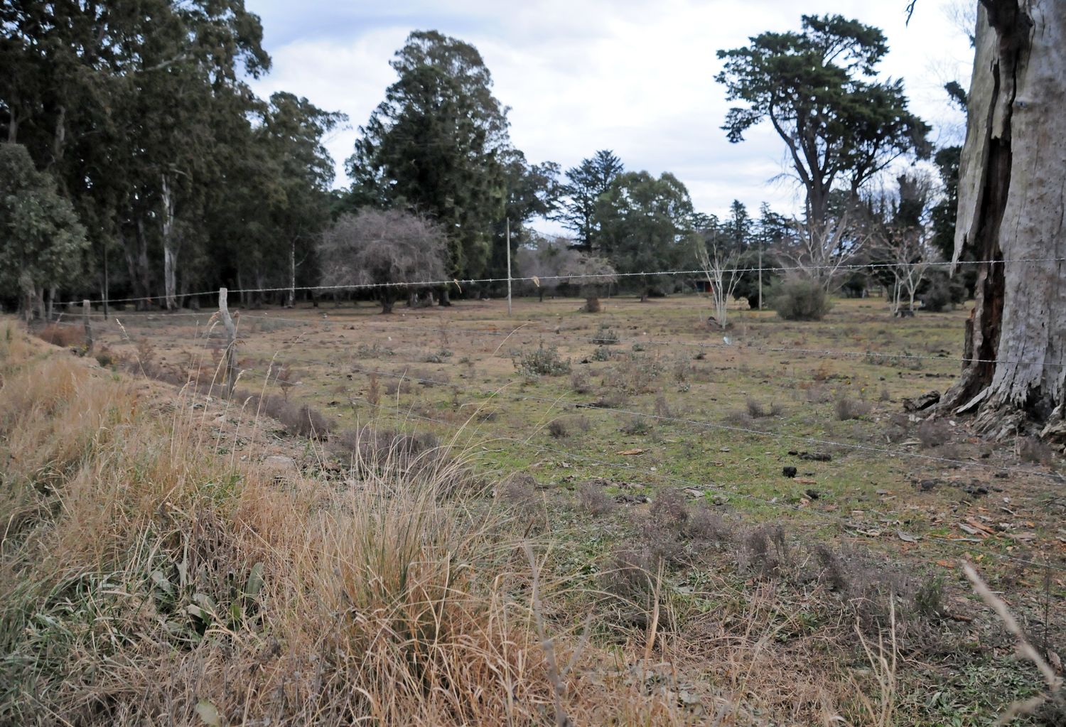 El Municipio ató los indicadores urbanísticos de Sans Souci a la ampliación de la planta depuradora