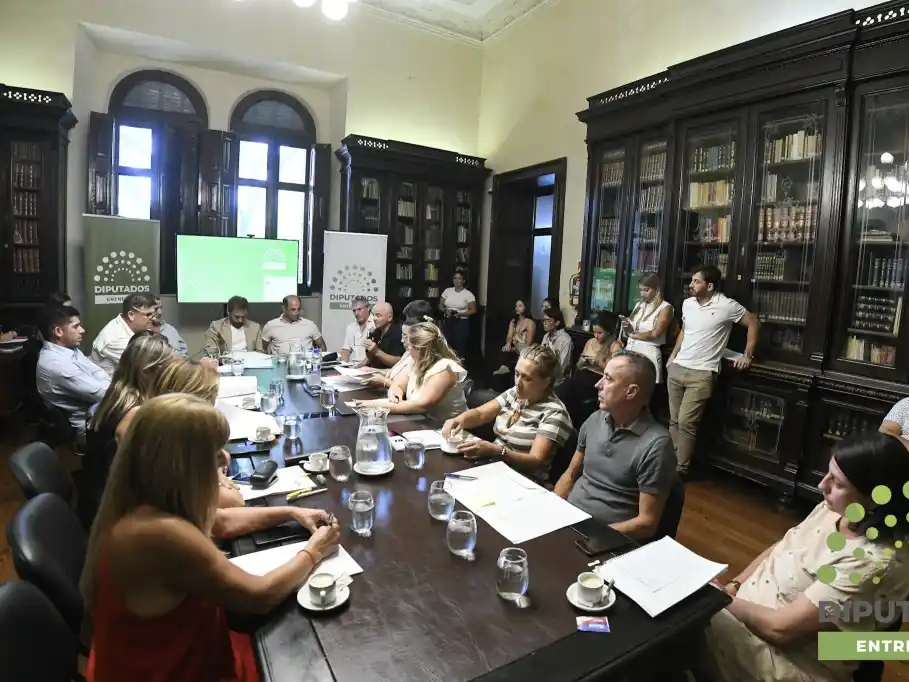 Diputados aprobó la creación de una comisión investigadora sobre la deuda pública provincial