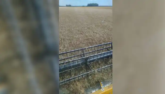 Al país lo sacamos adelante todos juntos
