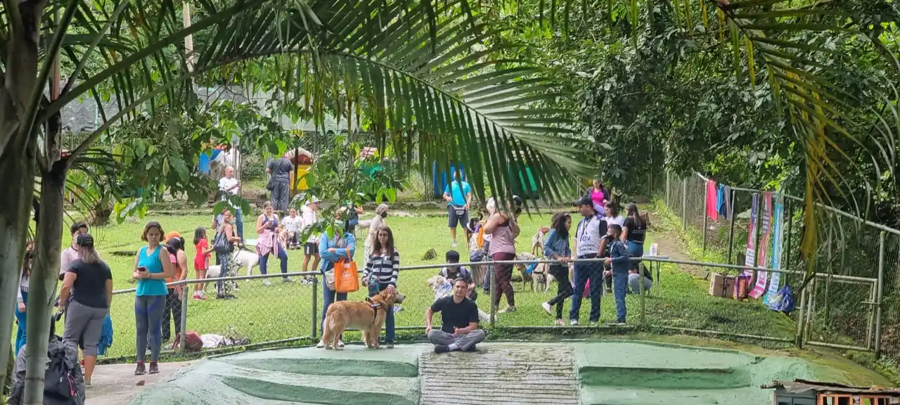 “Mi Mascota Influencer Sinfónico” llega a El Hatillo para apoyar a animales en situación de calle