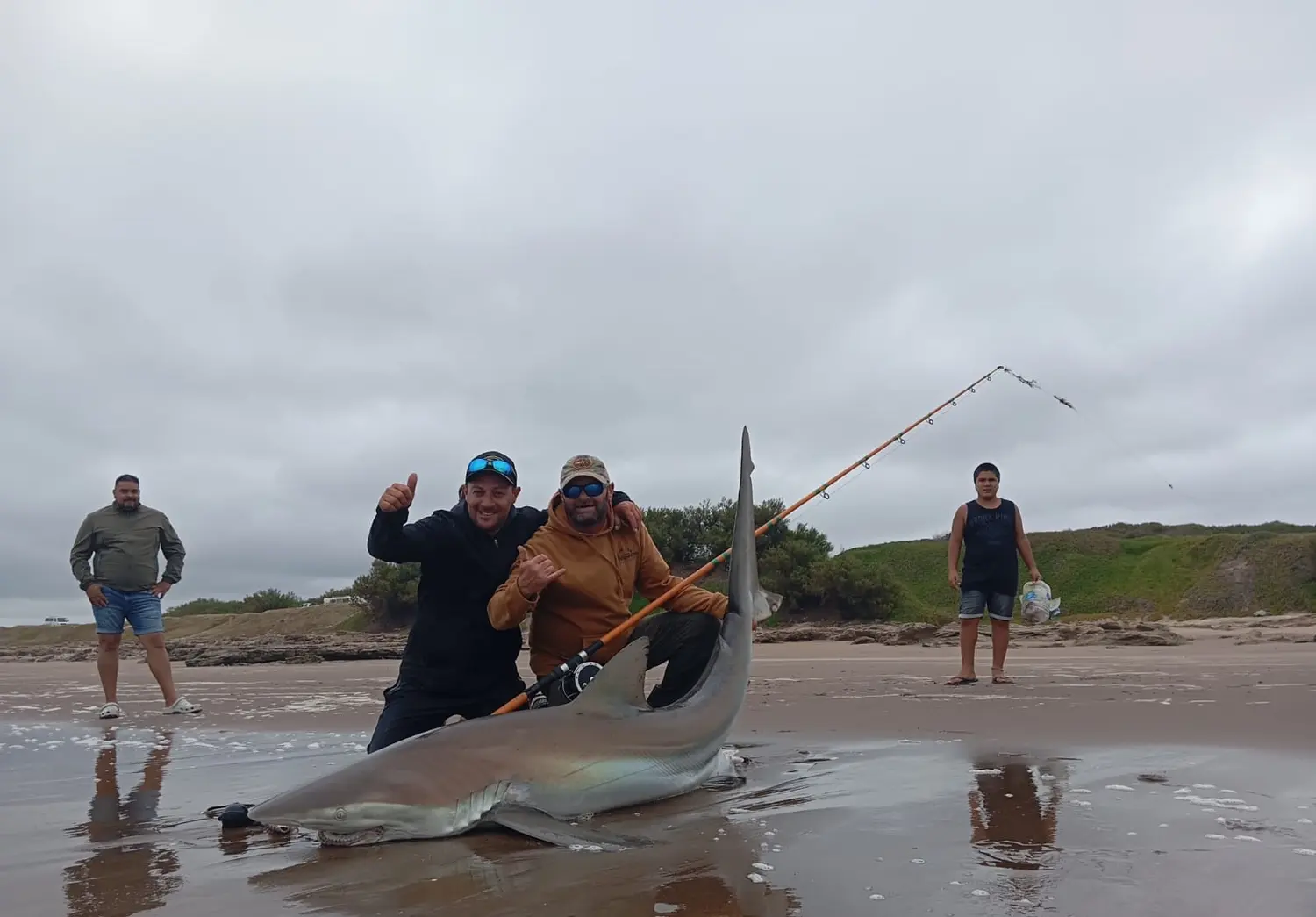 Increíble pesca de un tiburón bacota de costa y en el Pozo de Alonso de Claromecó