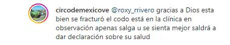 Lo que dijo el Circo de Mëxico sobre la trapecista accidentada. Foto Instagram