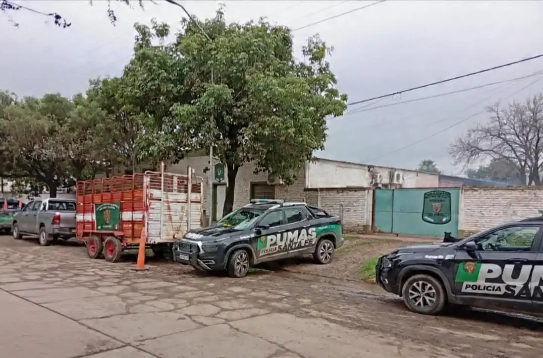 Recuperaron seis terneros y secuestraron dos armas de fuego durante allanamientos en la región - 1