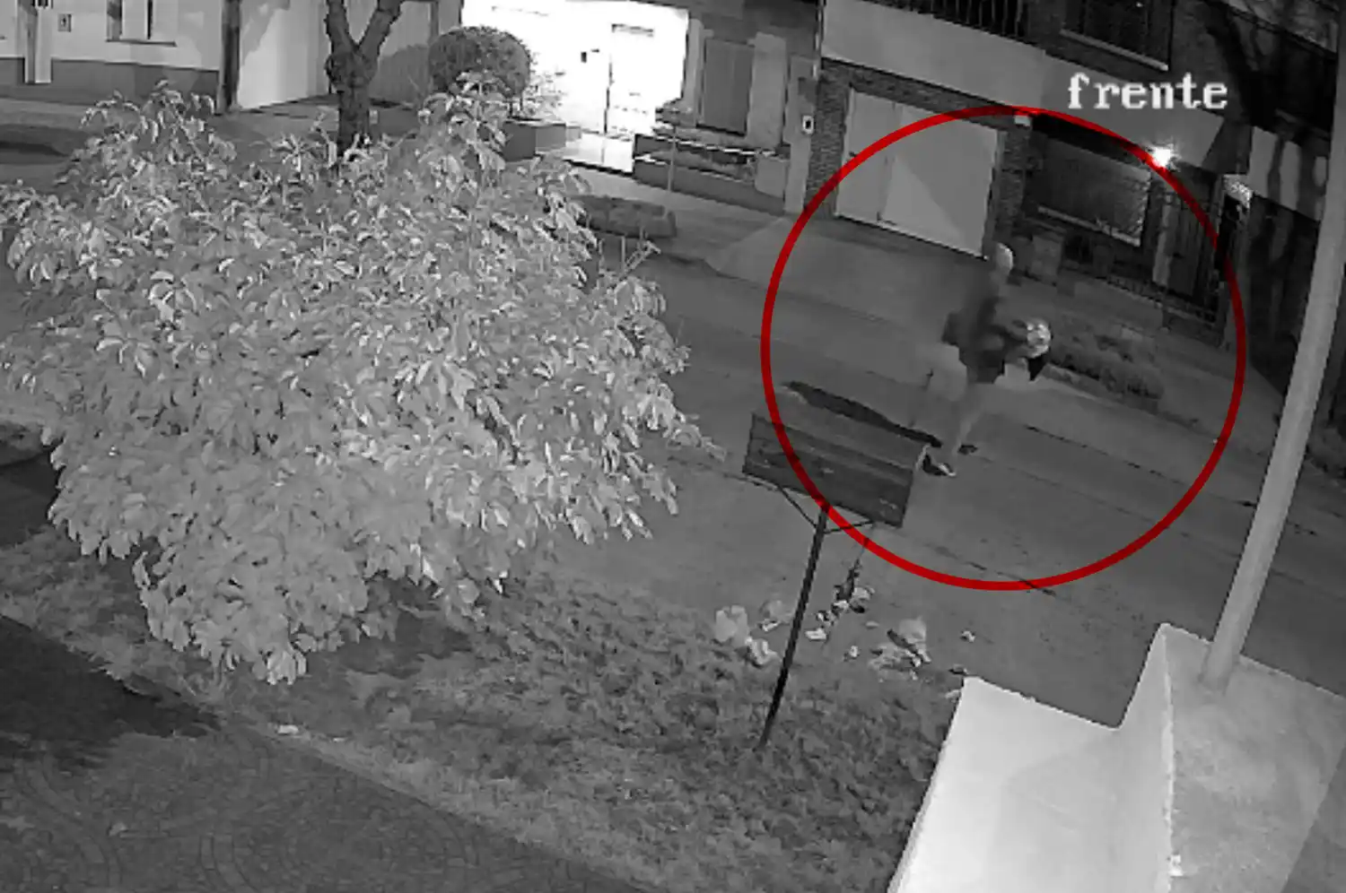 VIDEO | Insólito: le revisó la basura a un vecino y cuando terminó, la desparramó por en la vereda de en frente