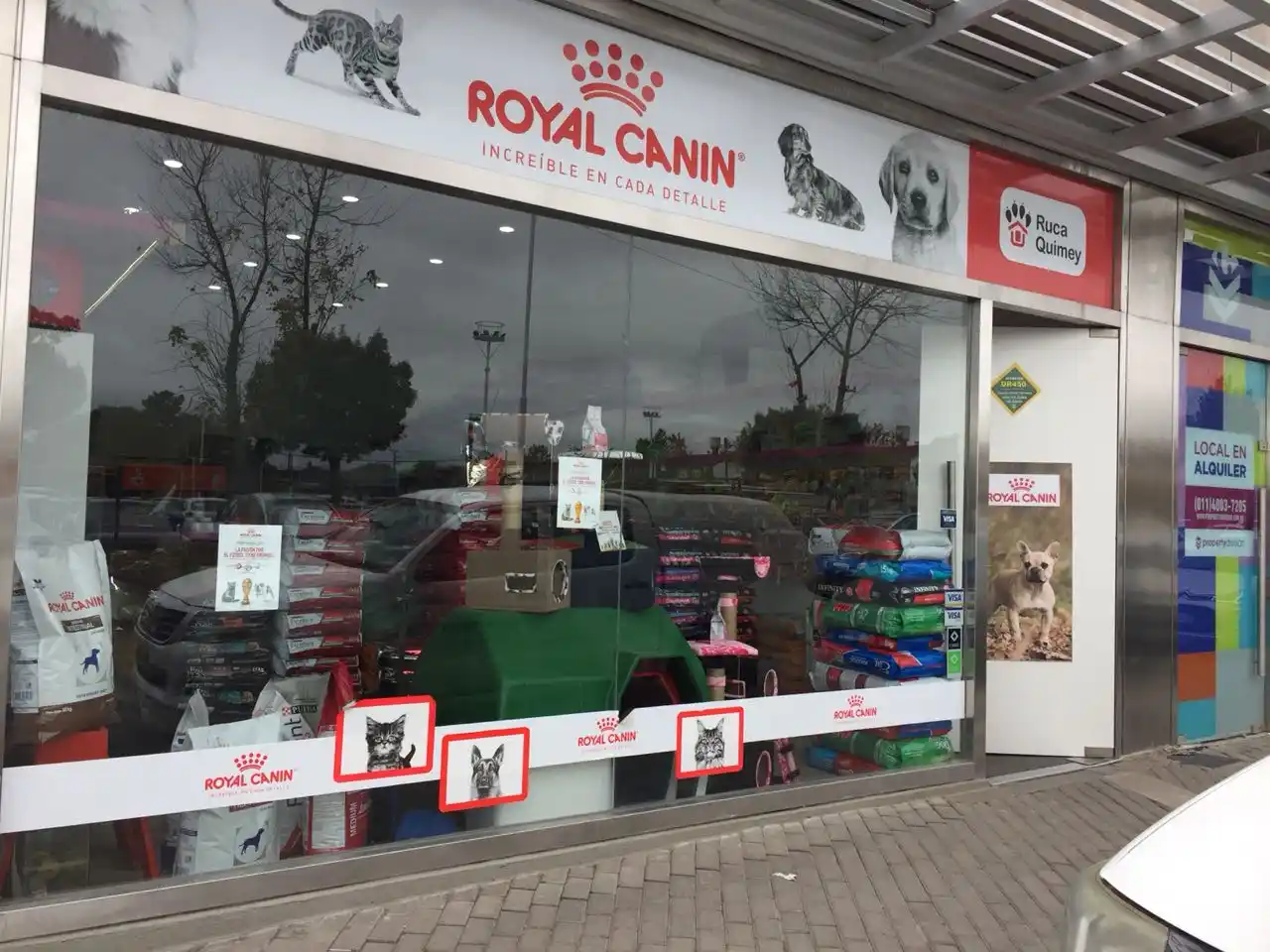 Robaron en una tienda de mascotas