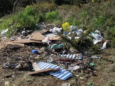 Residuos urbanos: optimizar tiempos para corregir malas conductas