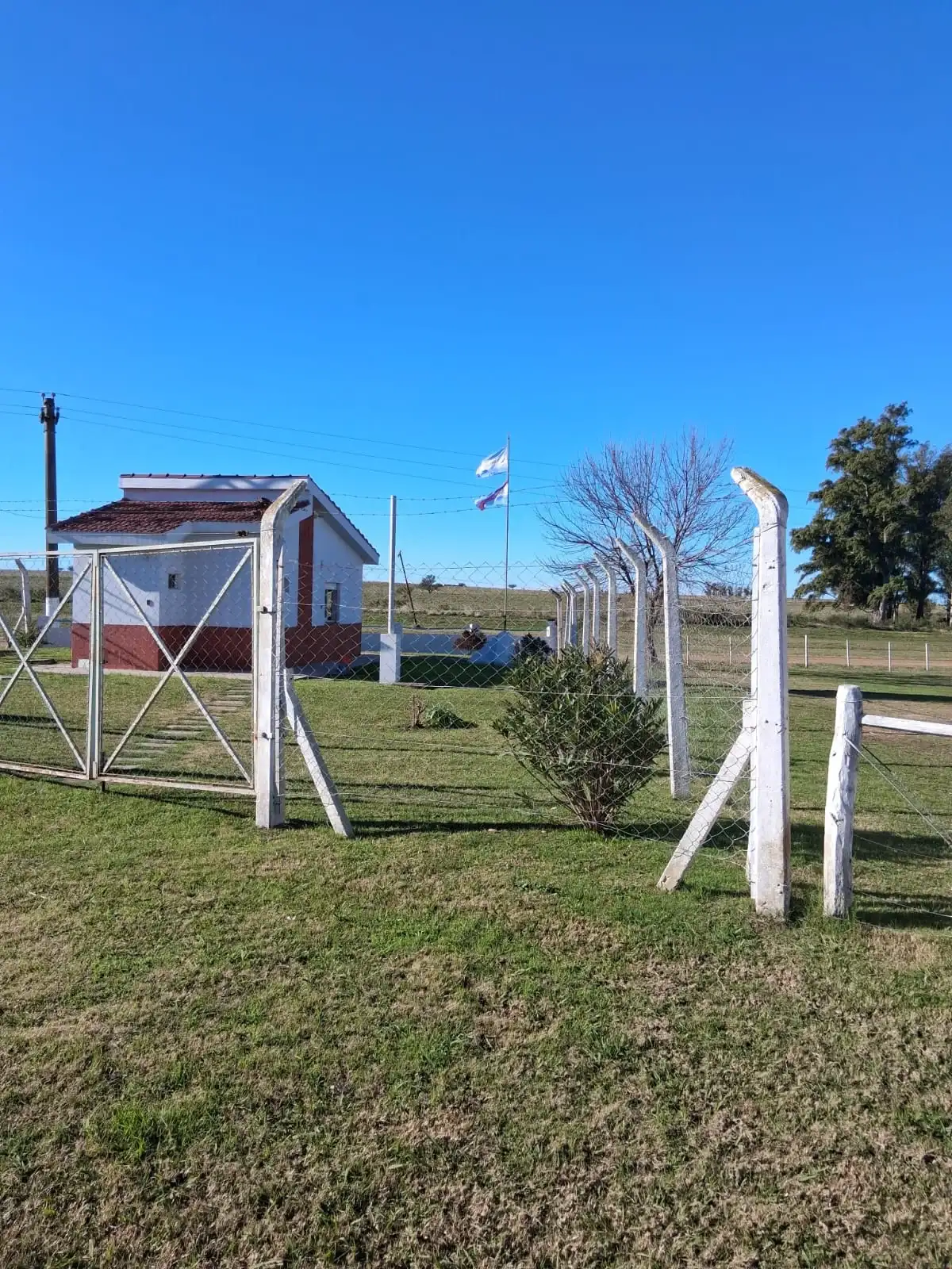 Estación Lazo