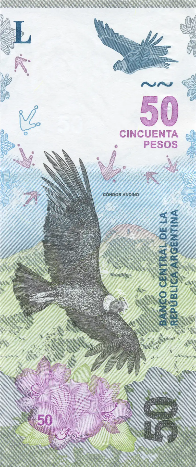 Entra en circulación el nuevo billete de 50 pesos con la imagen del cóndor