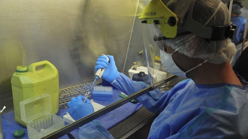 Investigadores secuenciaron genomas de coronavirus: “Podemos saber el origen de la cepas”