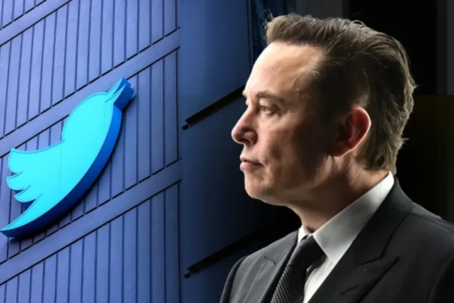 Elon Musk indicó que "cis" y "cisgénero" serán considerados "insultos" en Twitter