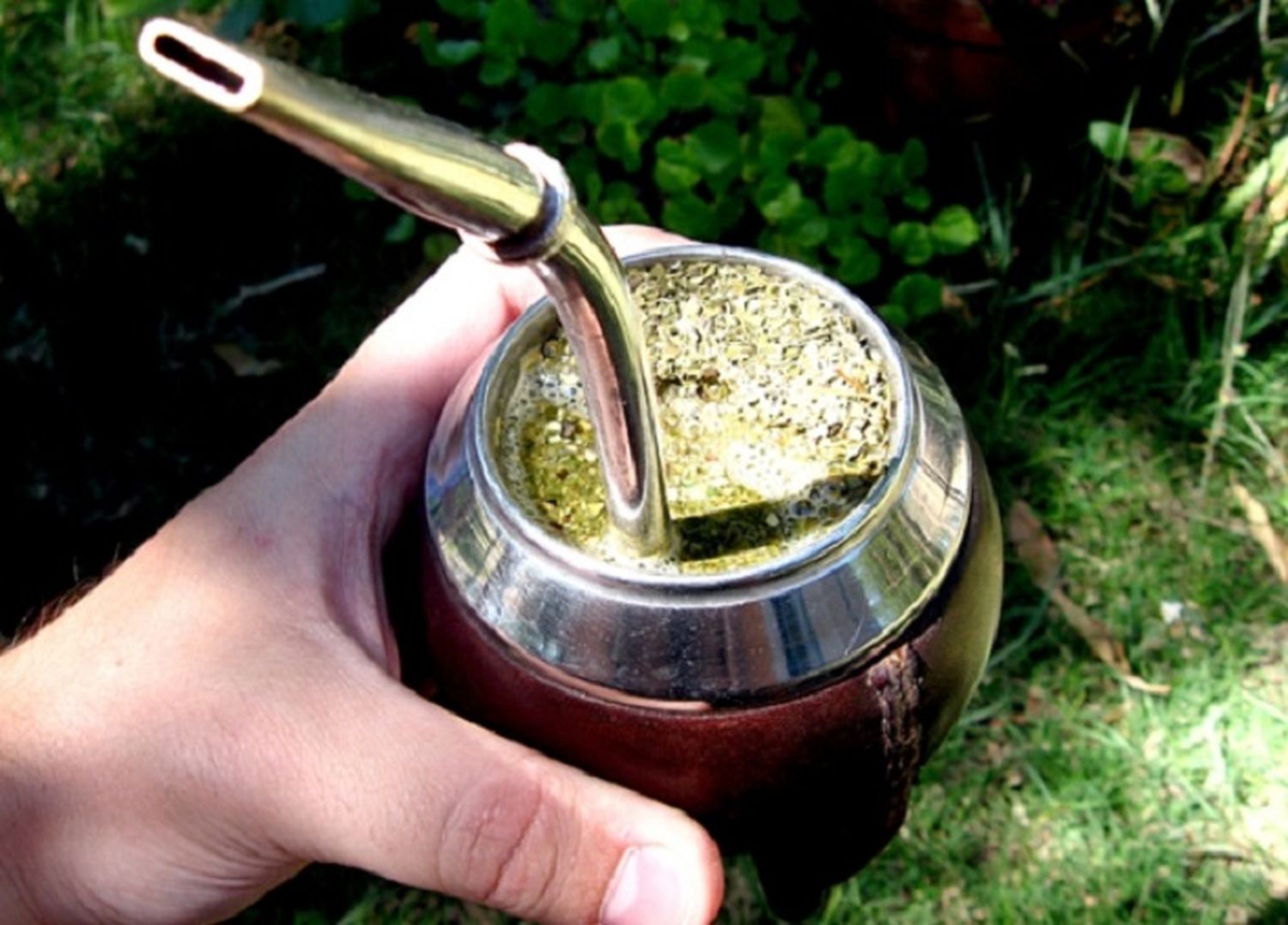 ¿Sabés cuántos litros de Mate consumís al año y cómo te beneficia?