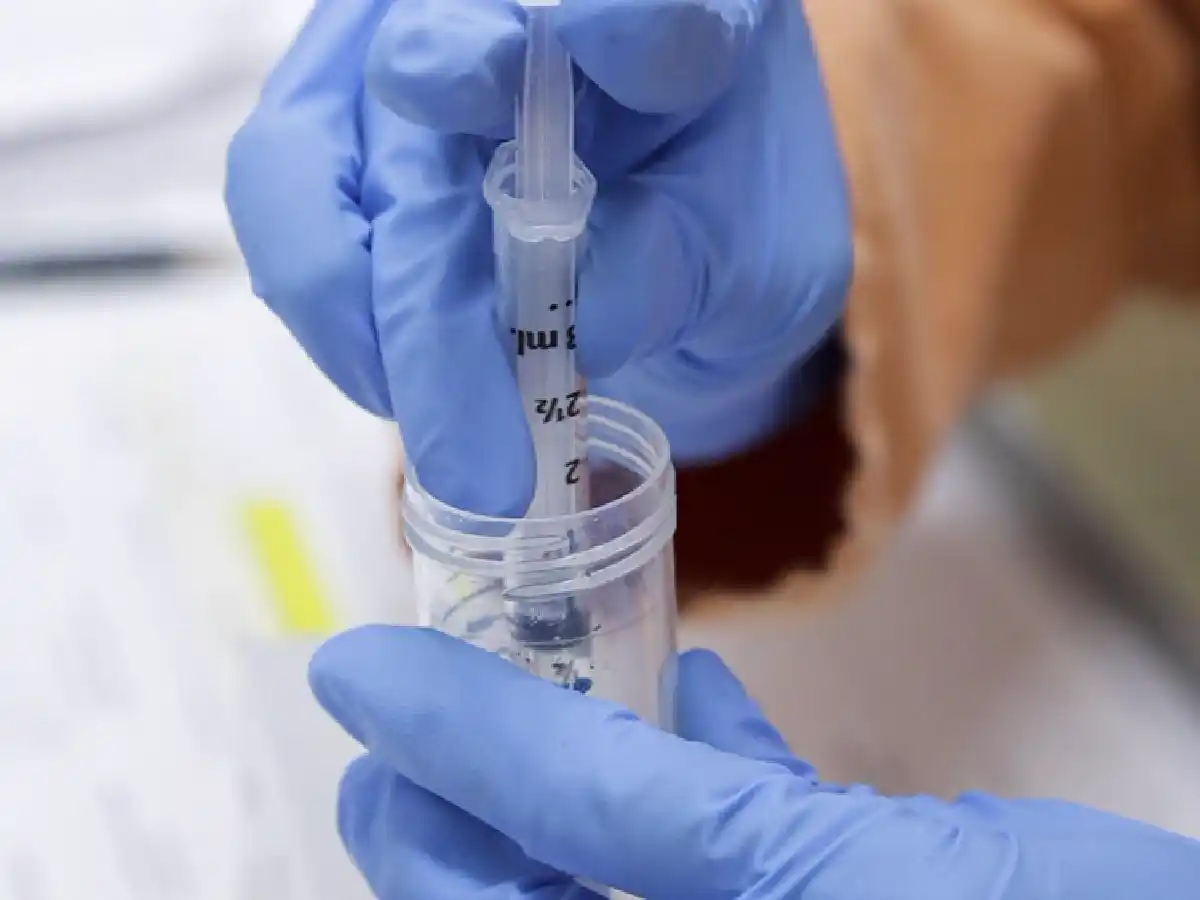 La OMS advirtió que las vacunas "no erradicarán el coronavirus" hasta que no se sepa cómo se transmite