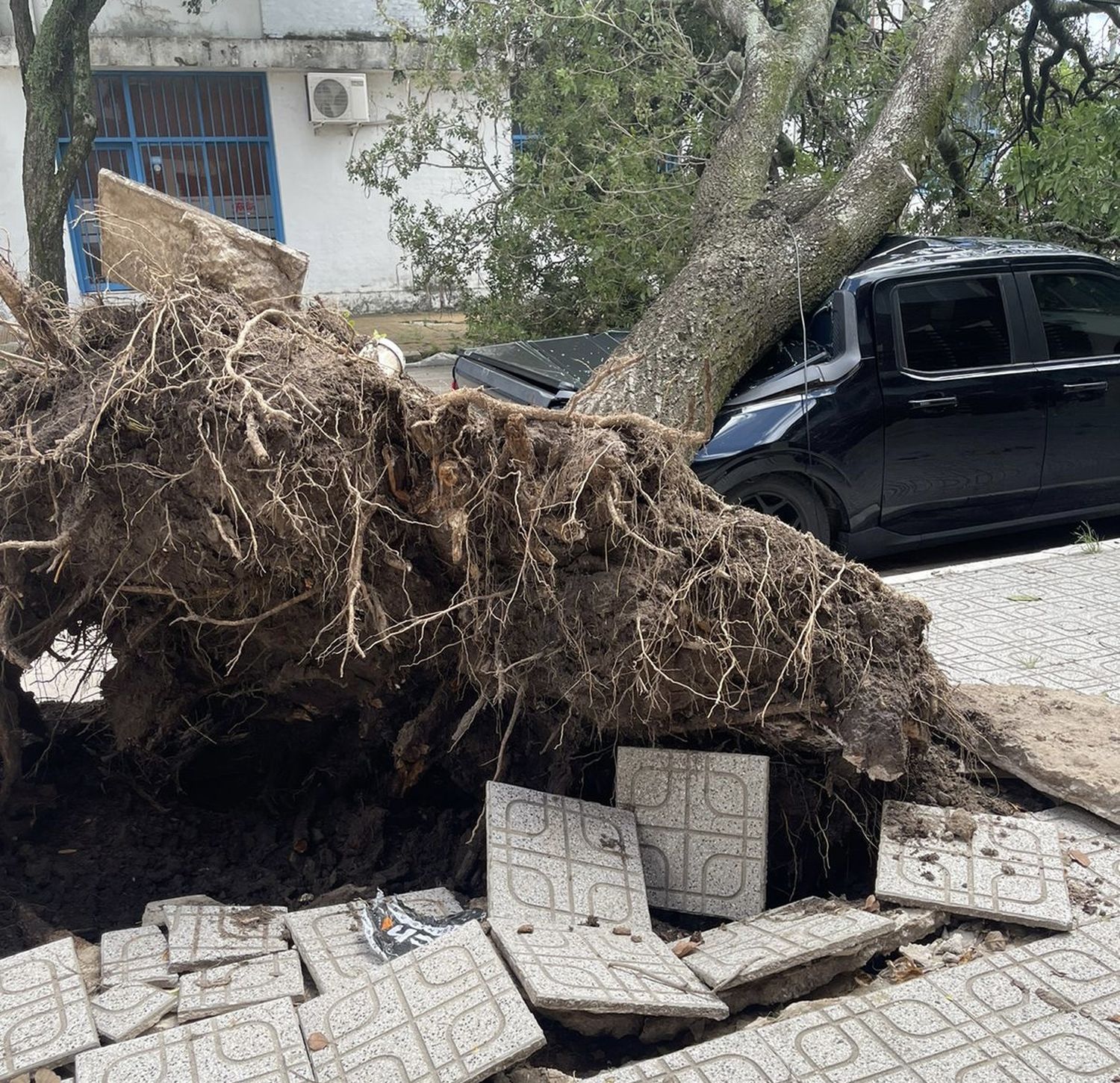 Fuerte temporal