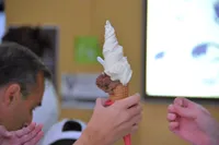 ¿Cuándo será el Día del Helado y qué promociones se ofrecerán?