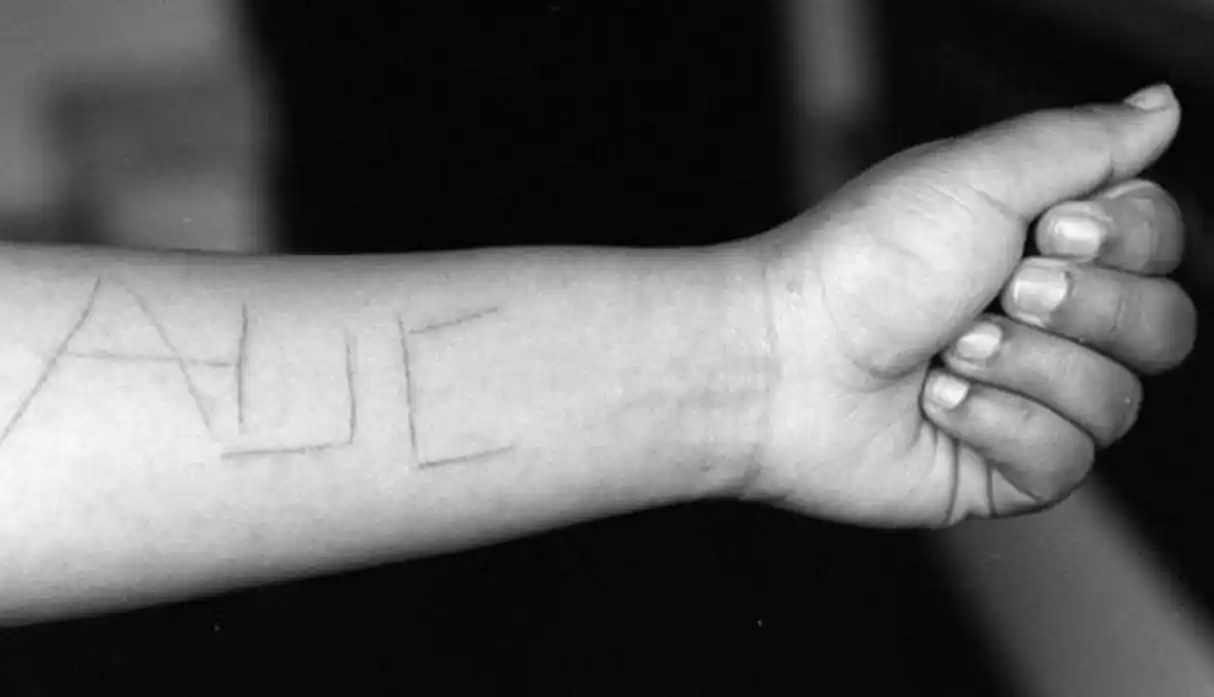 Paramilitar dirigió la operación Orión ordenada por Álvaro Uribe