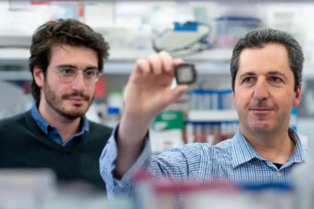 Crean un fármaco contra el cáncer sin realizar pruebas con animales