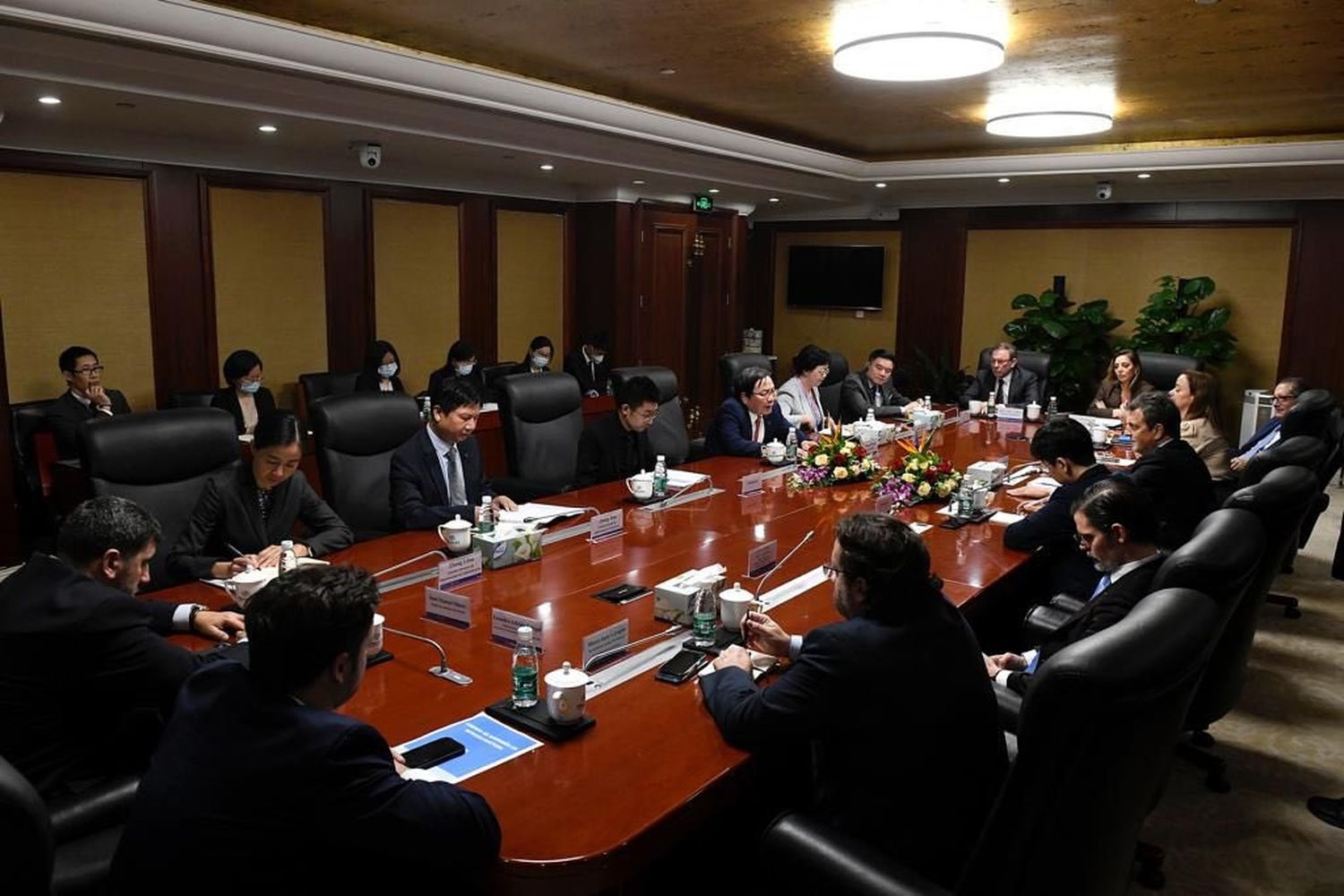 El Gobierno acordó con China avanzar en la regionalización de las exportaciones avícolas