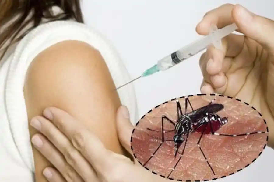 El Gobierno comenzó a distribuir las vacunas contra el dengue