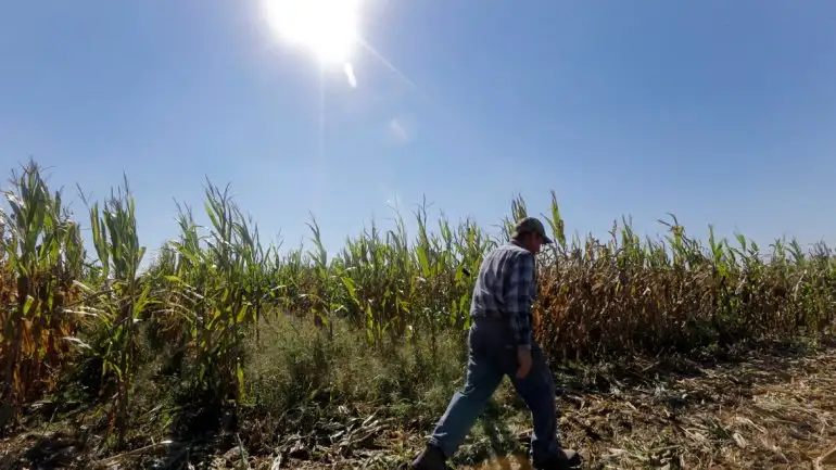 Latinoamérica tira a la basura 80 millones de toneladas de alimentos por año 
