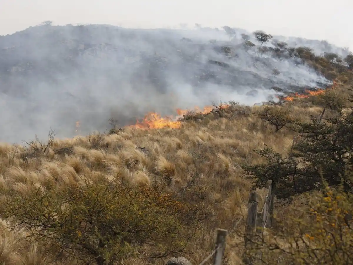 Sin tregua: se reactivó un foco de incendio en la zona de Bosque Alegre