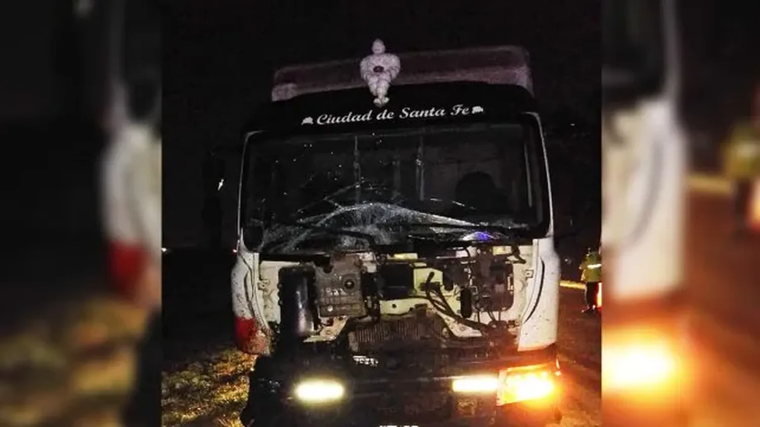 Ruta 12 :un camión chocó una yegua