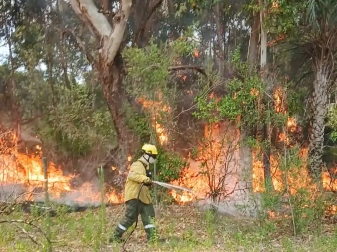 Incendios reiterados en Concordia: casi todos son provocados por el hombre