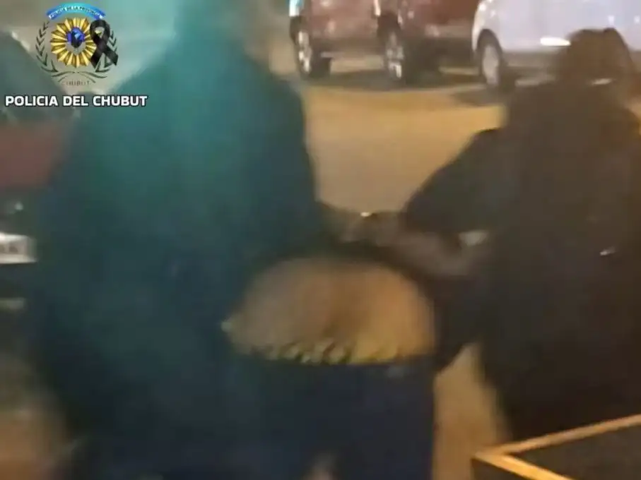 criminal viola la perimetral y golpeo a una policía 1