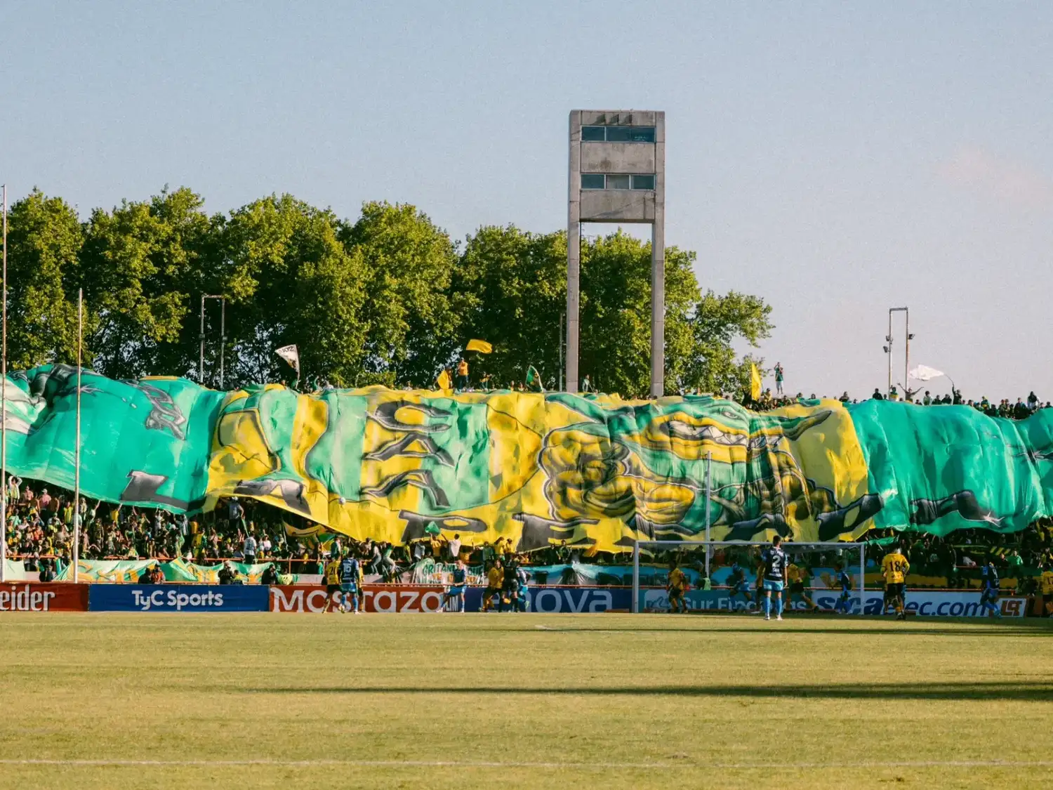 aldosivi
