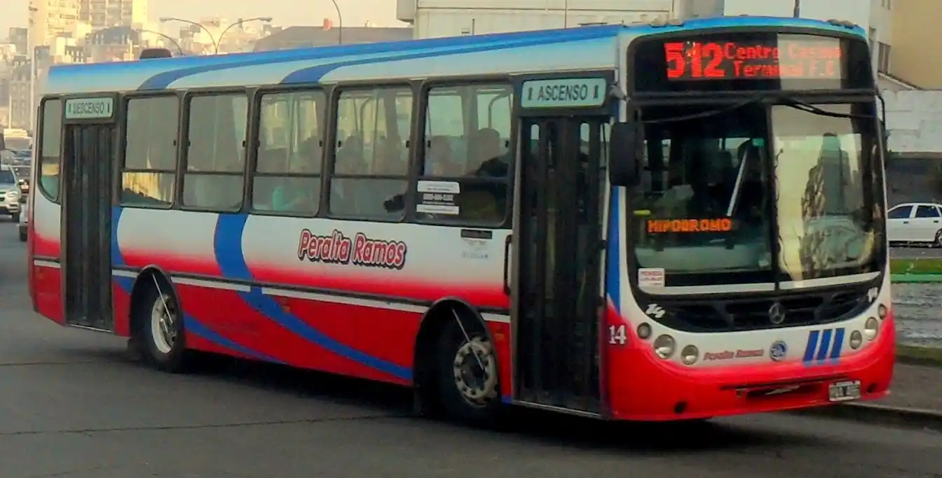 Mar del Plata: Suspensión del transporte público 
