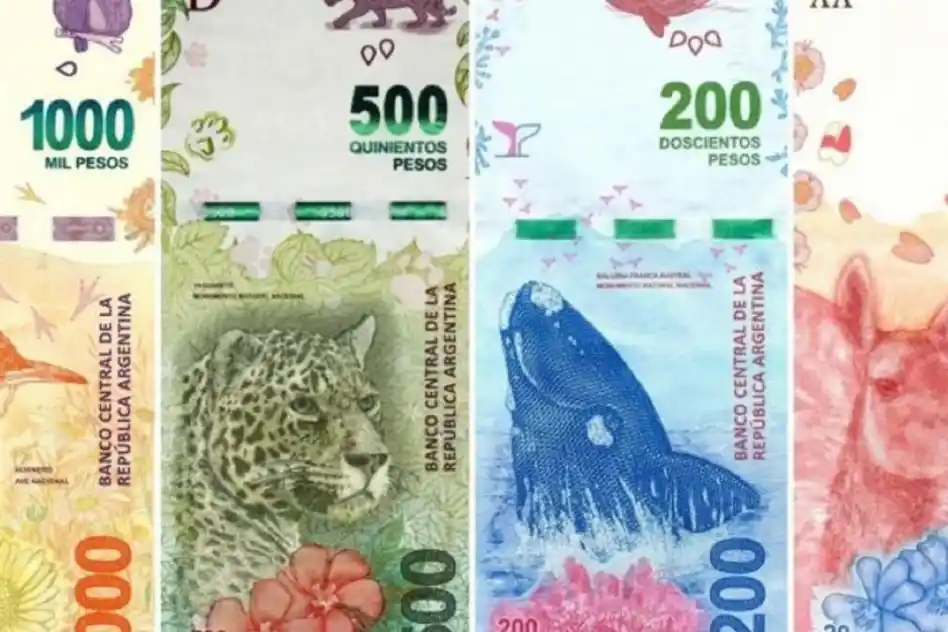 Sacarán los animales  de los billetes y tendrán mayor nominación