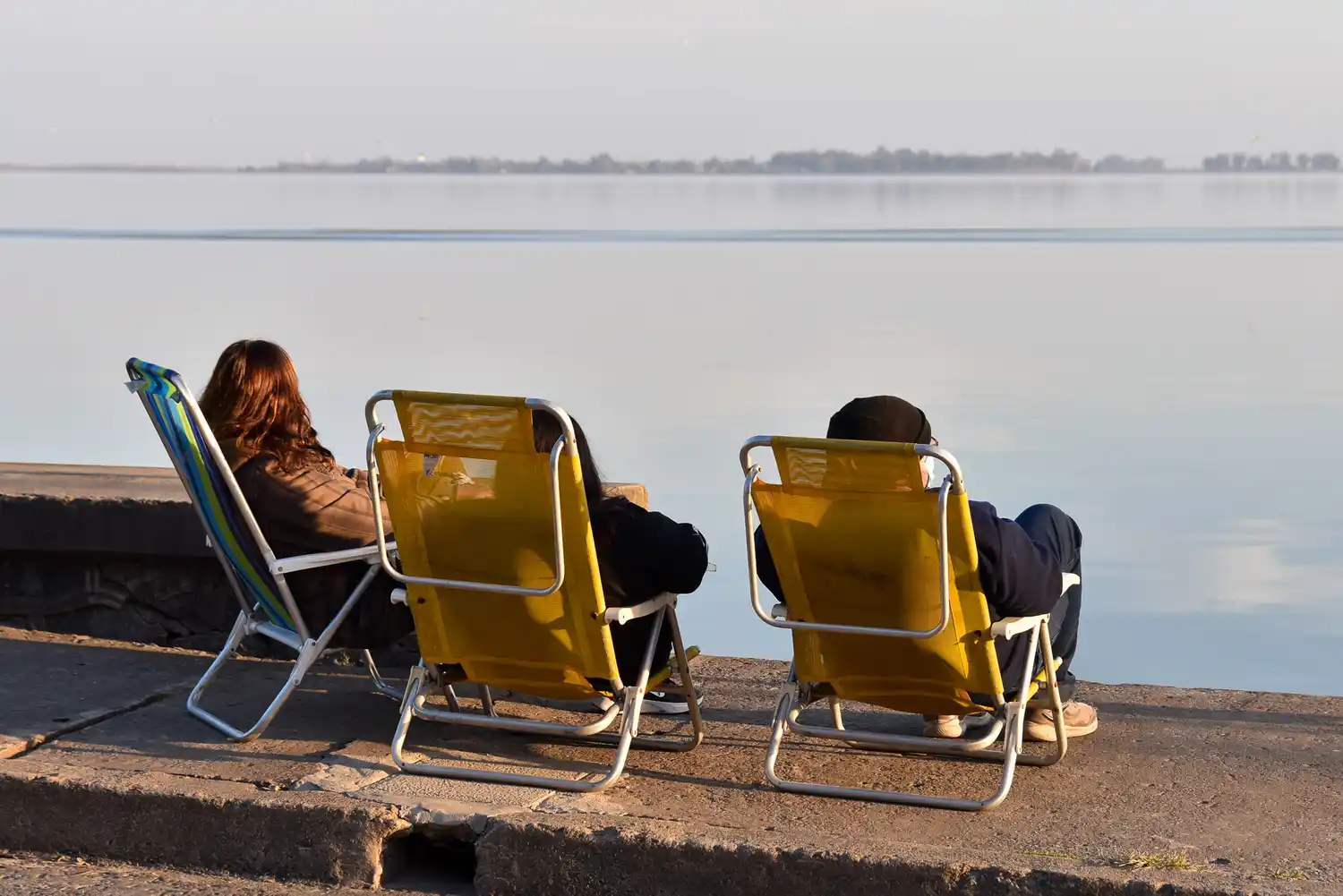  “Riesgo Bajo” en Chascomús: Las cianobacterias son microorganismos que se nutren por un aumento de la carga orgánica en el agua
