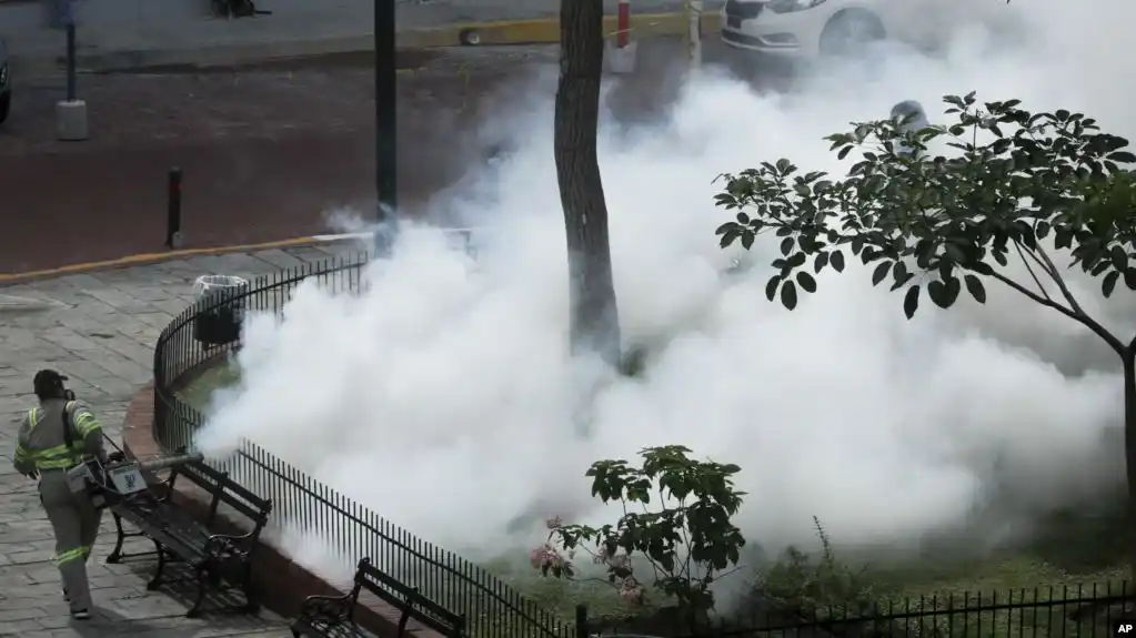 Desde la Cruz Roja se informó que el dengue se extiende rápidamente en América Central