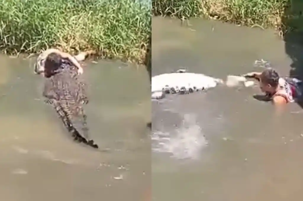 Cocodrilo atacó a un turista