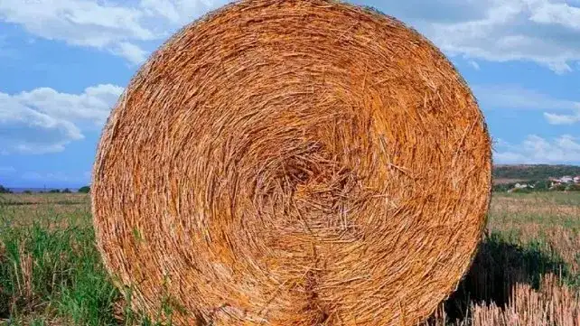 General Galarza: un trabajador de 70 años murió aplastado por un rollo de alfalfa